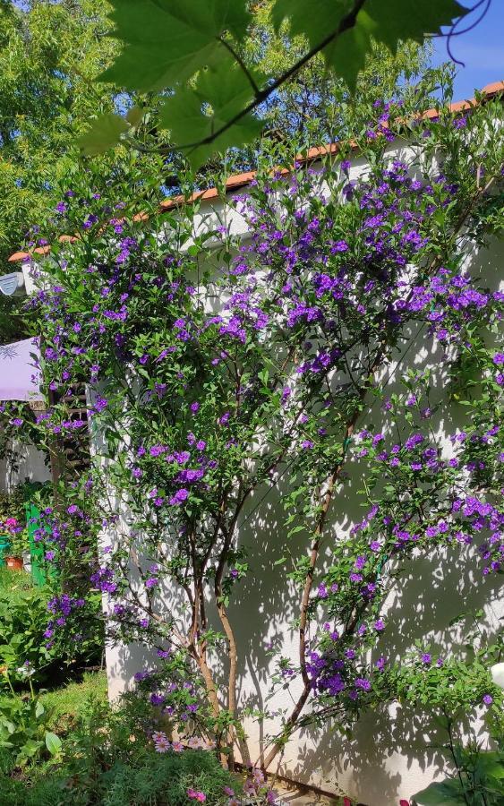 Apartments Tessa 77 メドゥリン エクステリア 写真